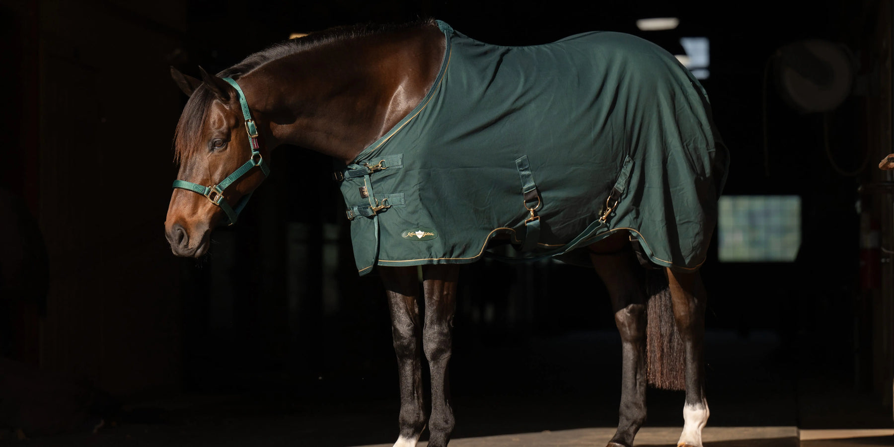 Kensington-Poly-Cotton-Stable-Sheet-with-SureFit-The-Ultimate-Comfort-and-Protection-for-Your-Horse Kensington