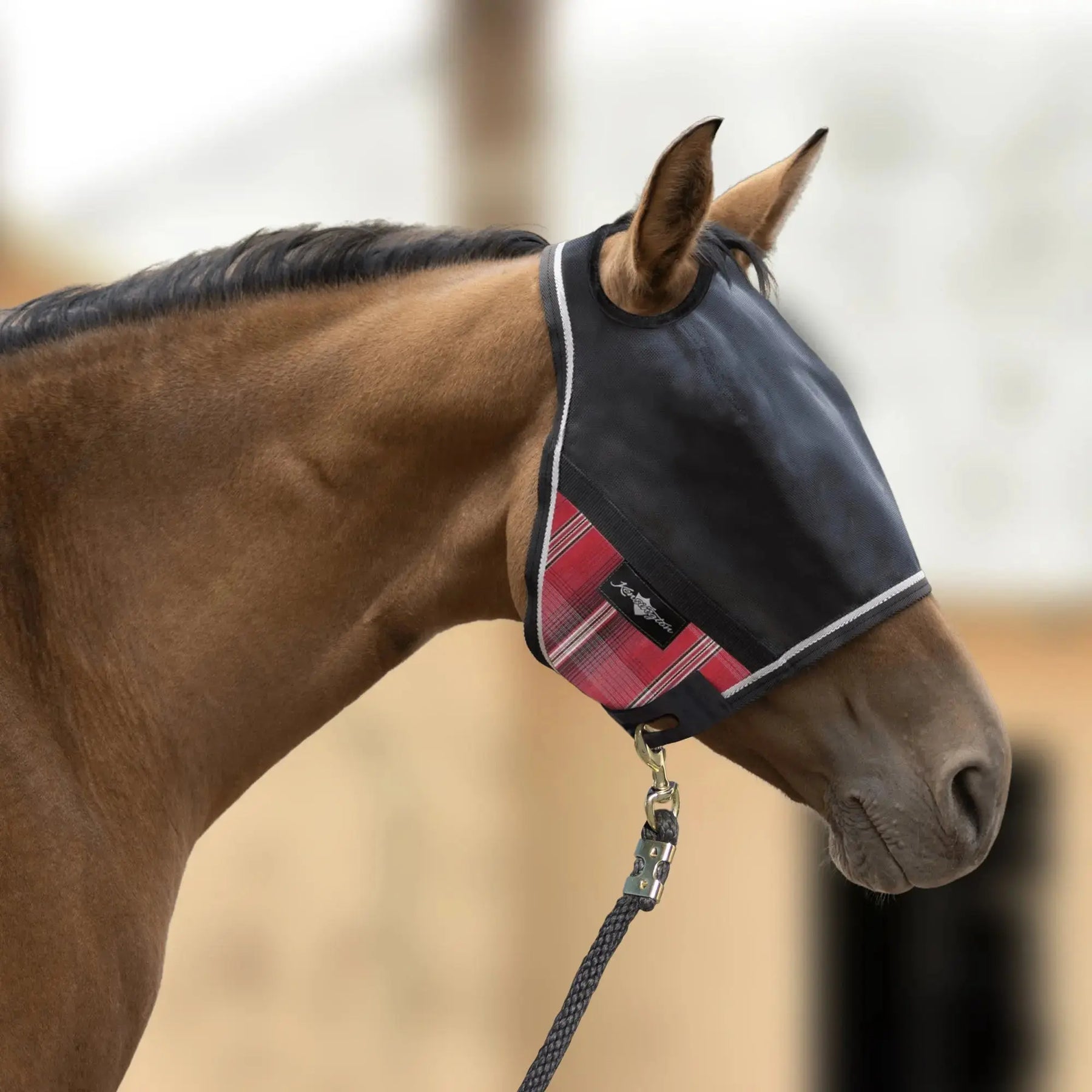 Is-Your-Horse-s-Fly-Gear-Actually-Protecting-Against-UV-Why-Fabric-Really-Matters. Kensington