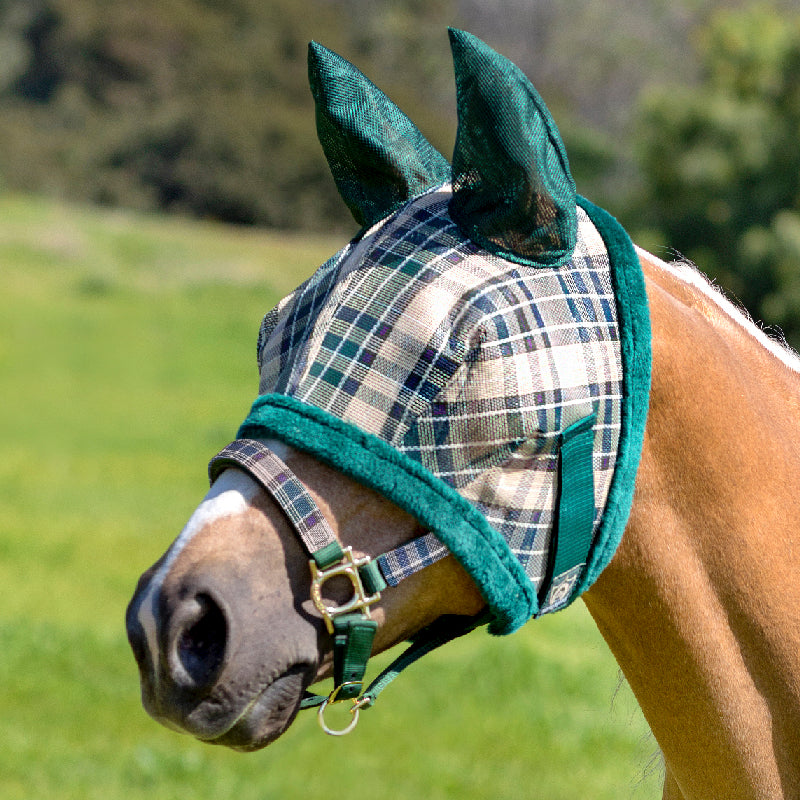 Why Sun Protection Is Essential for Horses (And the Best Product to Help)