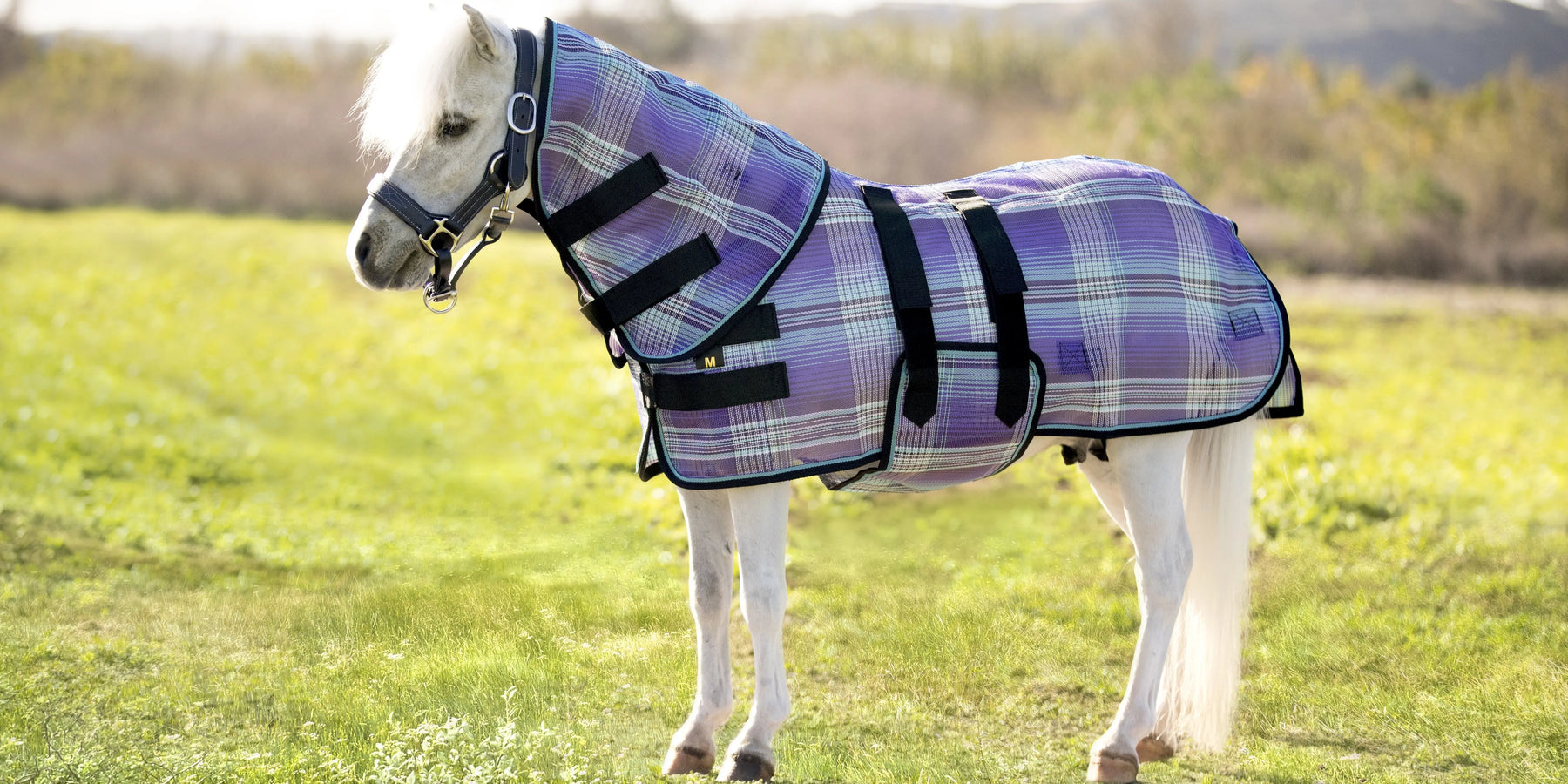 Protecting-Your-Horse-from-More-Than-Just-Bugs-The-Critical-Role-of-UV-and-Fly-Protection Kensington