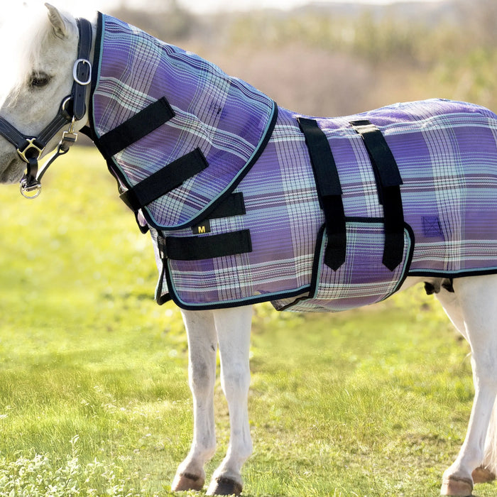 Protecting-Your-Horse-from-More-Than-Just-Bugs-The-Critical-Role-of-UV-and-Fly-Protection Kensington