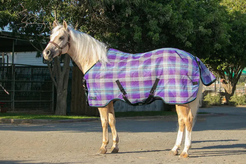 Kensington-Products-is-Proud-to-Partner-with-Palomino-Released-6-22-2021 Kensington