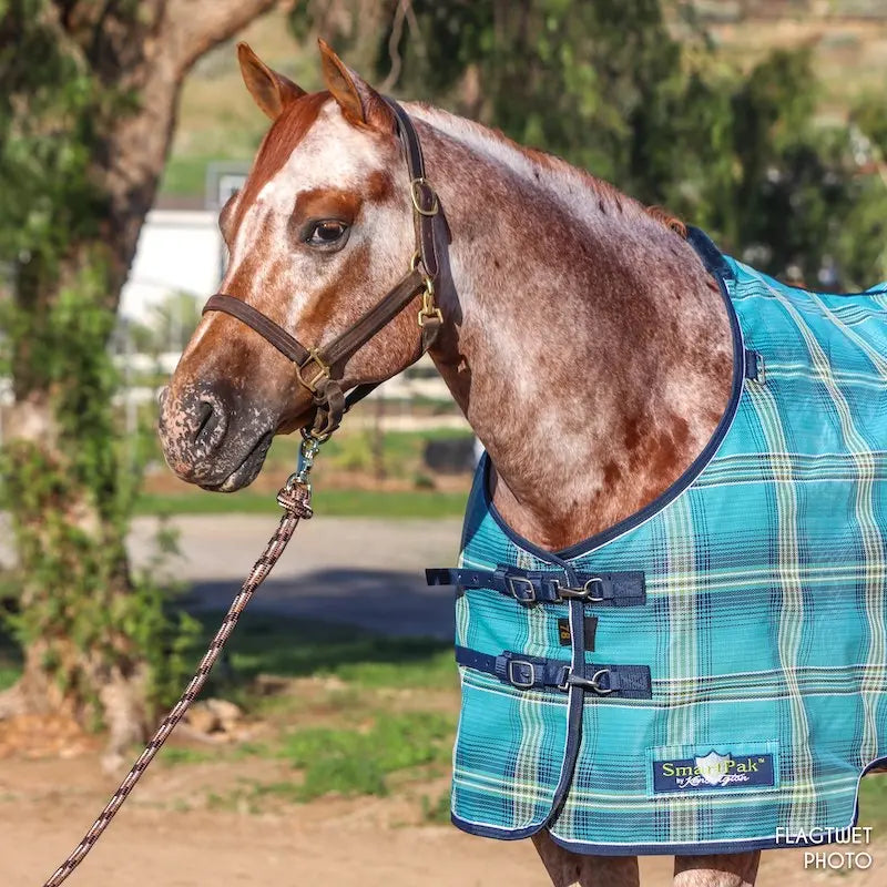 Kensington-Products-Partners-with-SmartPak-Released-5-17-2021 Kensington