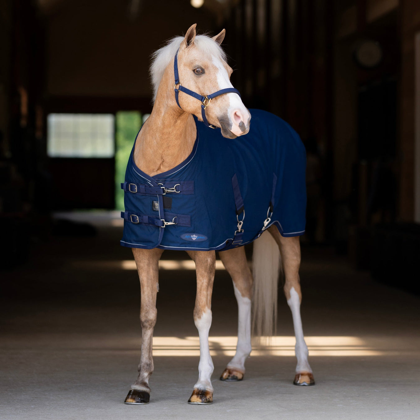 Everything for your Pony from Kensington