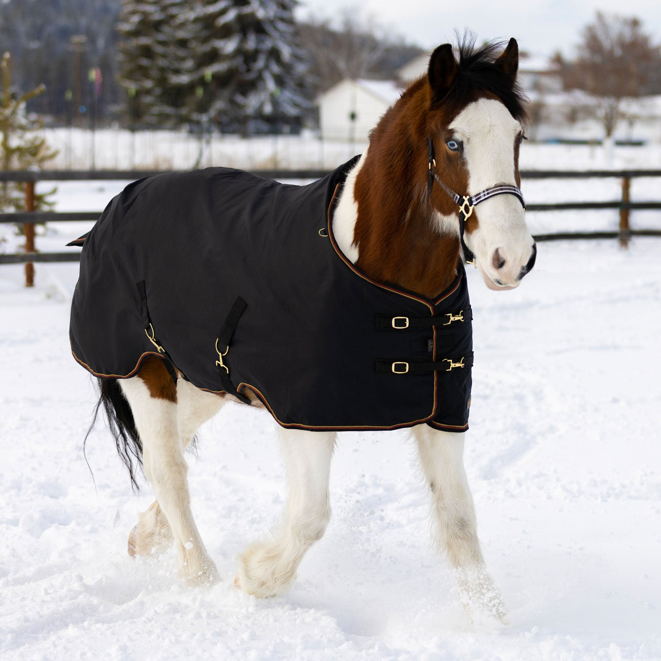 All Draft Horse Pony Mini & Adjustable Winter Turnouts