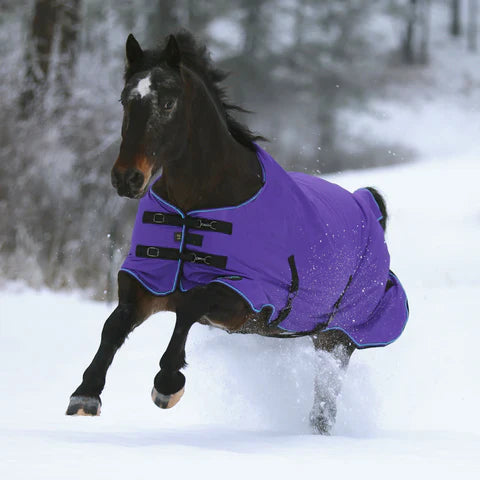 For the Horse
