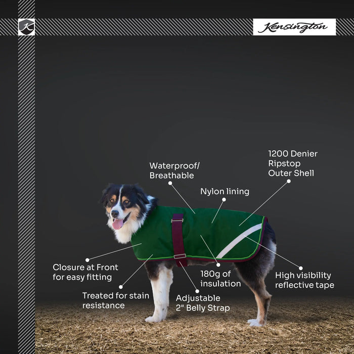 Winter Dog Coat - 180G Medium Weight - Waterproof & Breathable Kensington Protective Products