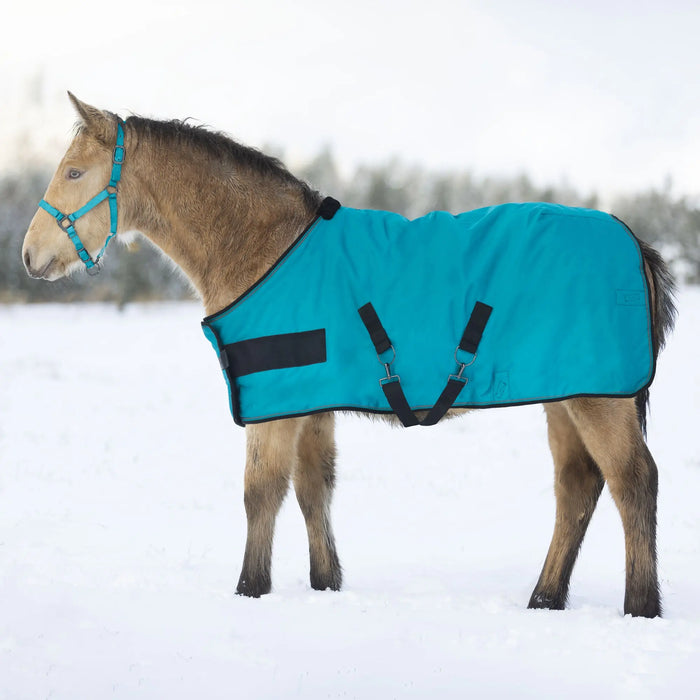 Weanling turnout blanket