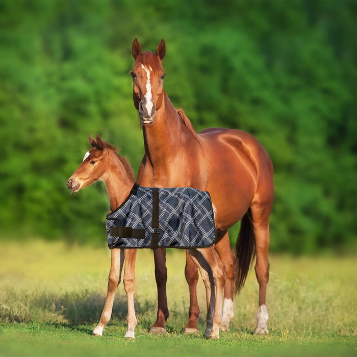 1200D Adjustable Foal 180G Medium Weight Winter Turnout Blanket - Waterproof & Breathable Kensington Protective Products