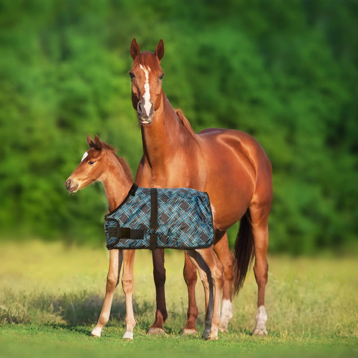 1200D Adjustable Foal 180G Medium Weight Winter Turnout Blanket - Waterproof & Breathable Kensington Protective Products