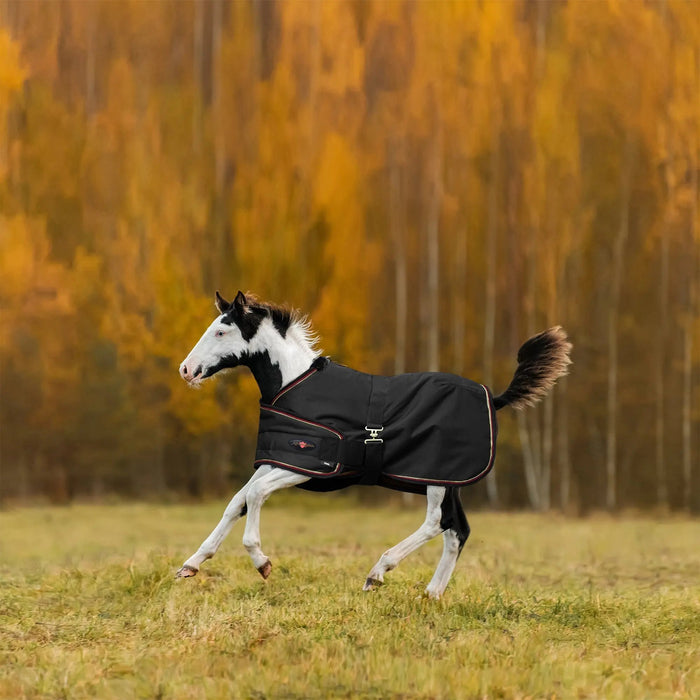 1200D Adjustable Foal 180G Medium Weight Winter Turnout Blanket - Waterproof & Breathable Kensington Protective Products