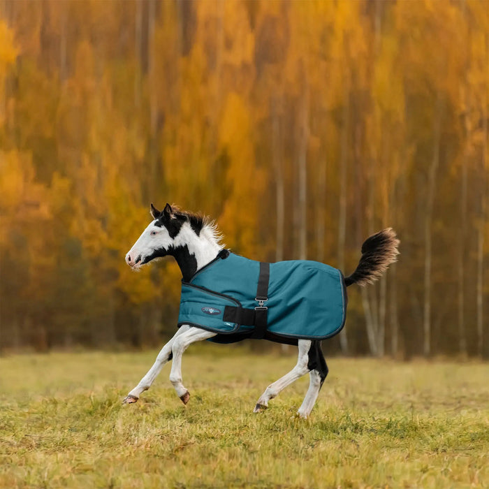 1200D Adjustable Foal 180G Medium Weight Winter Turnout Blanket - Waterproof & Breathable Kensington Protective Products