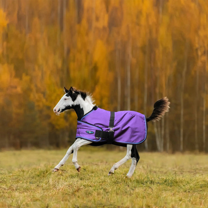 1200D Adjustable Foal 180G Medium Weight Winter Turnout Blanket - Waterproof & Breathable Kensington Protective Products