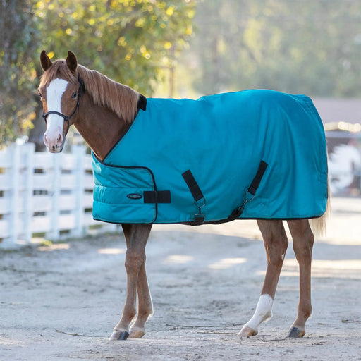 1200D Adjustable Yearling 180G Medium Weight Winter Turnout Blanket - Waterproof & Breathable Kensington Protective Products