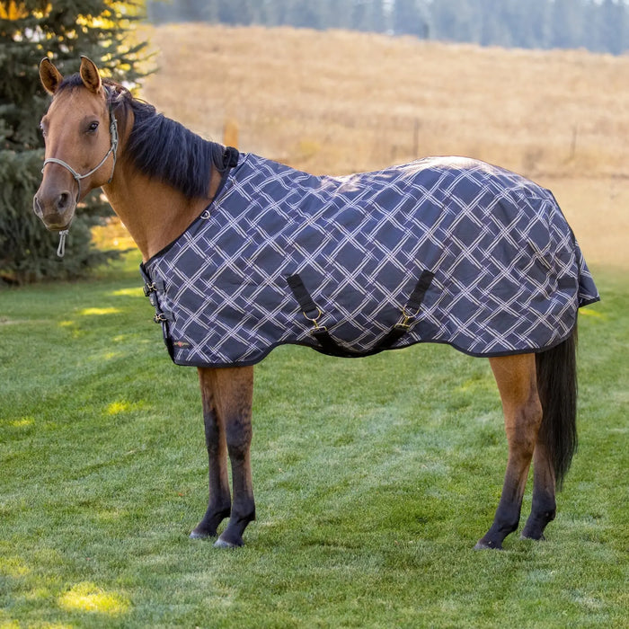 Bundle: Heavyweight 300g Winter Horse Turnout Blanket & Blanket Storage Bag Kensington Protective Products