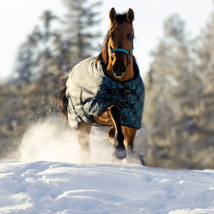 1200D Heavyweight 300g Horse Winter Turnout Blanket - Waterproof & Breathable Kensington Protective Products