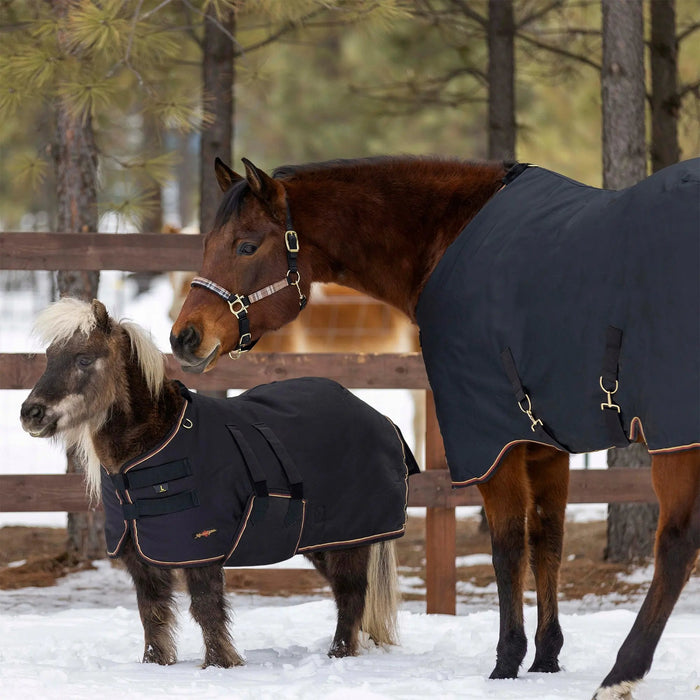 1200D Mini 80G Light Weight Winter Turnout Blanket - Waterproof & Breathable Kensington Protective Products