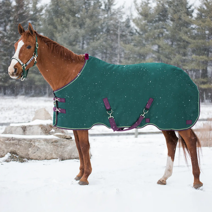 Bundle: Midweight 180g Winter Horse Turnout Blanket & Blanket Storage Bag Kensington Protective Products