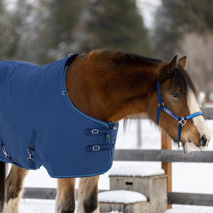 1200D Midweight 180g Draft Horse Winter Turnout Blanket - Waterproof & Breathable Kensington Protective Products