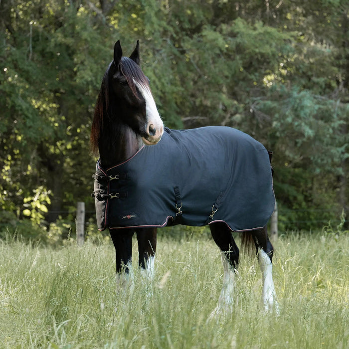 1200D Lightweight 80g Draft Horse Winter Turnout Blanket - Waterproof & Breathable Kensington Protective Products