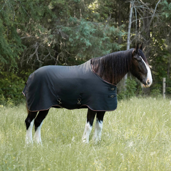 1200D Lightweight 80g Draft Horse Winter Turnout Blanket - Waterproof & Breathable Kensington Protective Products