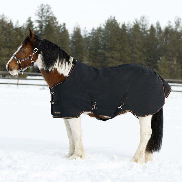 draft turnout winter blanket