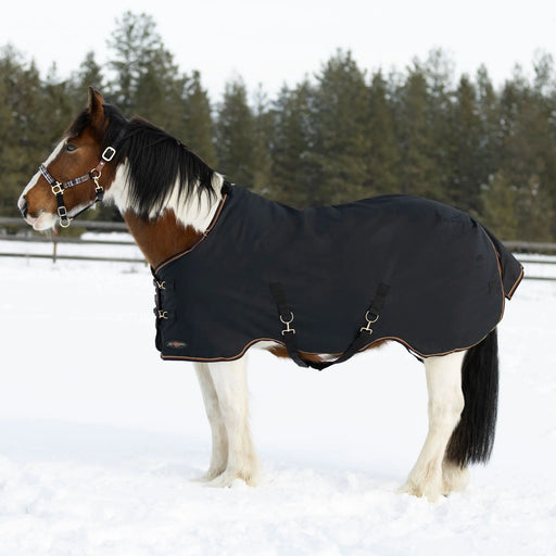 draft turnout winter blanket