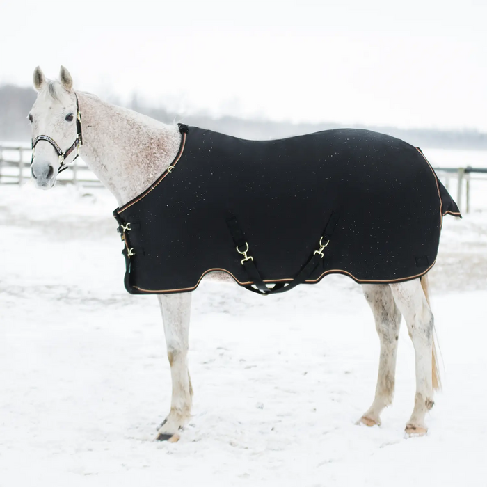 Bundle: Midweight 180g Winter Horse Turnout Blanket & Blanket Storage Bag Kensington Protective Products