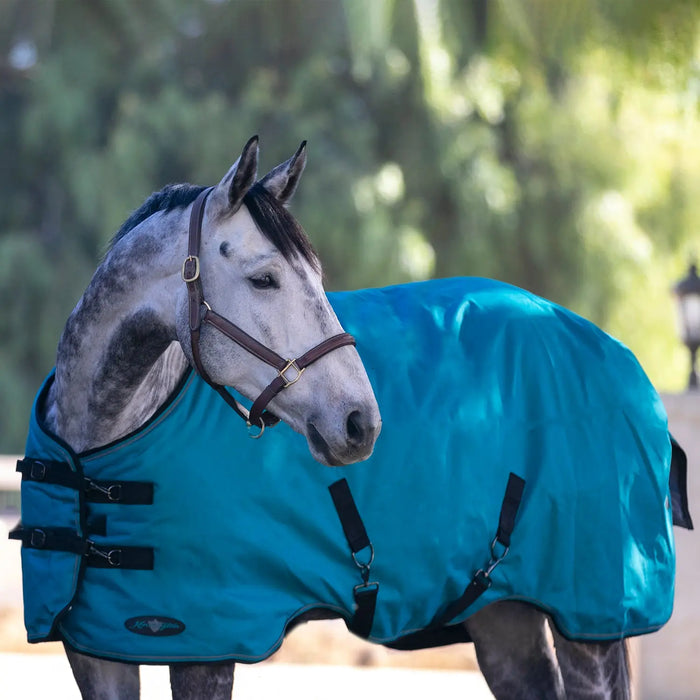 Bundle: Lightweight 80g Winter Horse Turnout Blanket & Blanket Storage Bag Kensington Protective Products