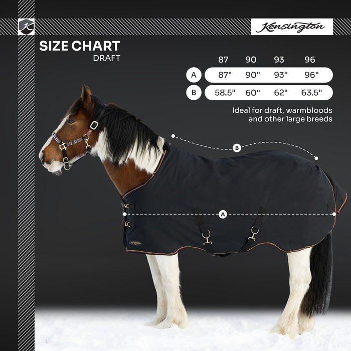 Draft Horse Heavyweight 300g Winter Turnout Blanket - Waterproof & Breathable