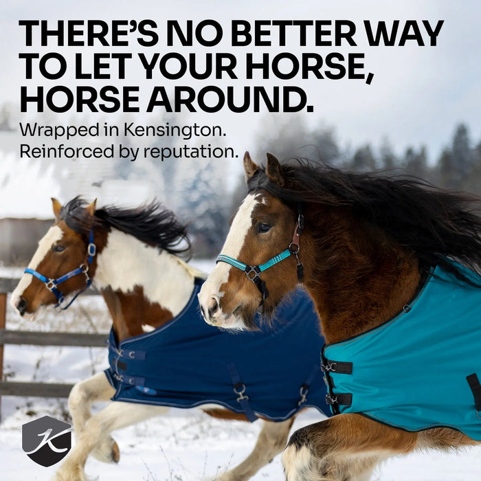 1200D Lightweight 80g Horse Winter Turnout Blanket - Waterproof & Breathable Kensington Protective Products