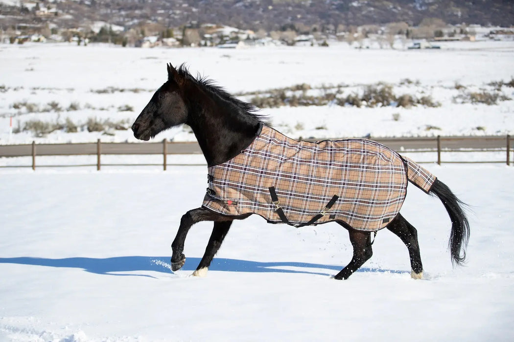 Supermesh® Winter Turnout Blanket - Supremely Durable, Waterproof & Breathable Kensington Protective Products
