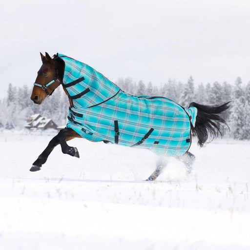 Supermesh® Winter Turnout Blanket - Supremely Durable, Waterproof & Breathable Kensington Protective Products