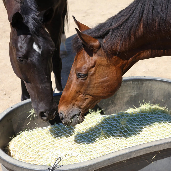 Freedom Feeder Full Bale Hay Net - Slow Feed Hay Net - 3 String Bale - 3 Size Mesh Options Freedom Feeder