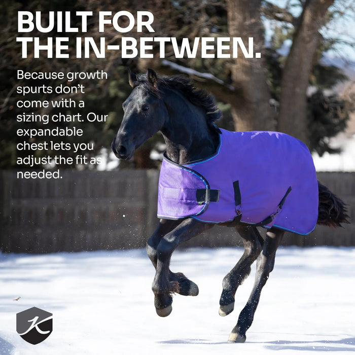 1200D Adjustable Yearling 180G Medium Weight Winter Turnout Blanket - Waterproof & Breathable Kensington Protective Products