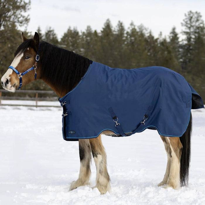 1200D Midweight 180g Draft Horse Winter Turnout Blanket - Waterproof & Breathable Kensington Protective Products
