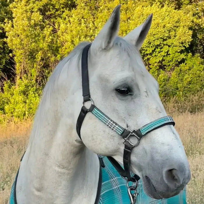 Reflective Nylon Halter with Textliene Kensington Protective Products