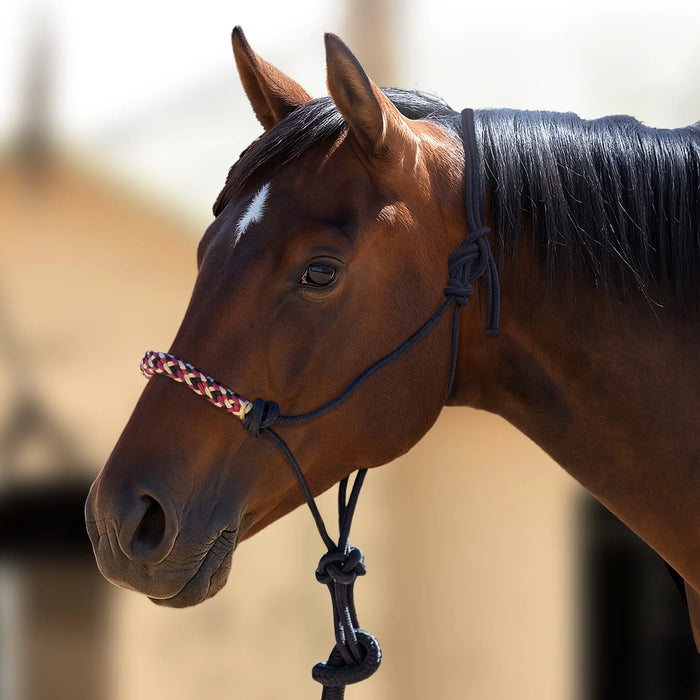 Clinician Training Rope Halter with Braided Nose Kensington Protective Products