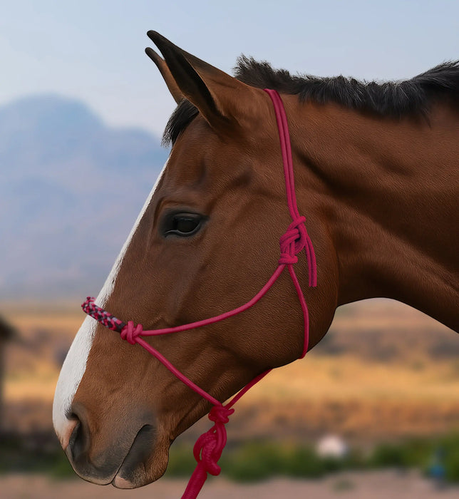 Clinician Training Rope Halter with Braided Nose Kensington Protective Products