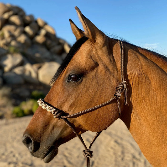 Clinician Training Rope Halter with Braided Nose Kensington Protective Products