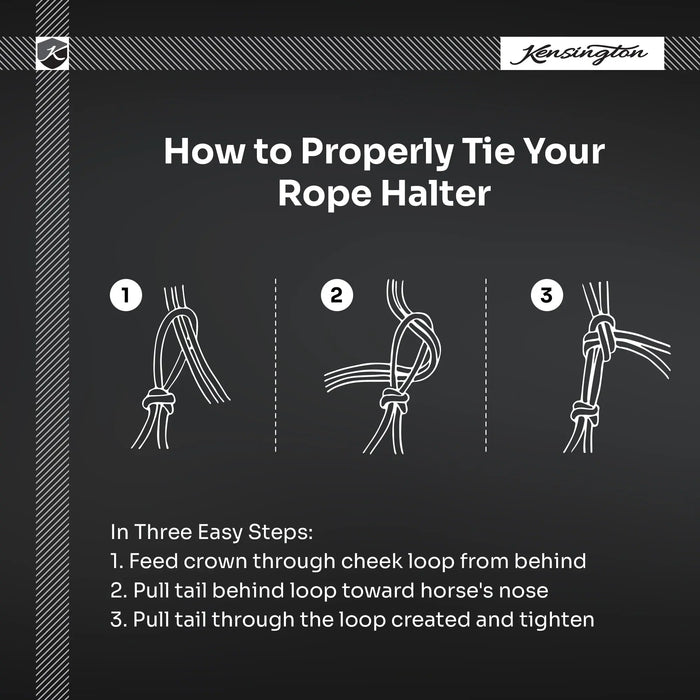 Clinician Training Rope Halter with Braided Nose Kensington Protective Products