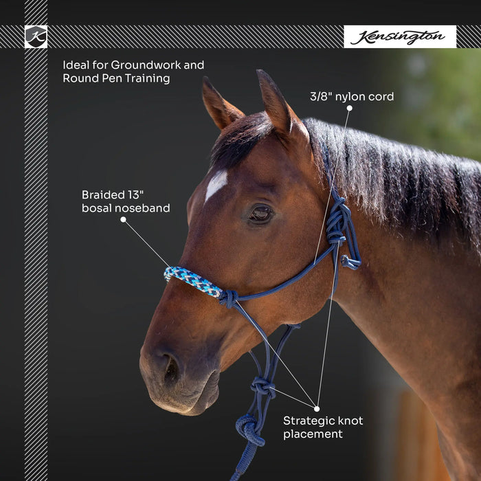 Clinician Training Rope Halter with Braided Nose Kensington Protective Products