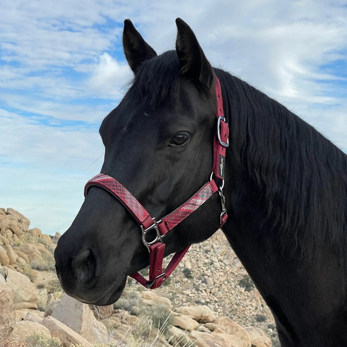 Reflective Nylon Halter with Textliene Kensington Protective Products