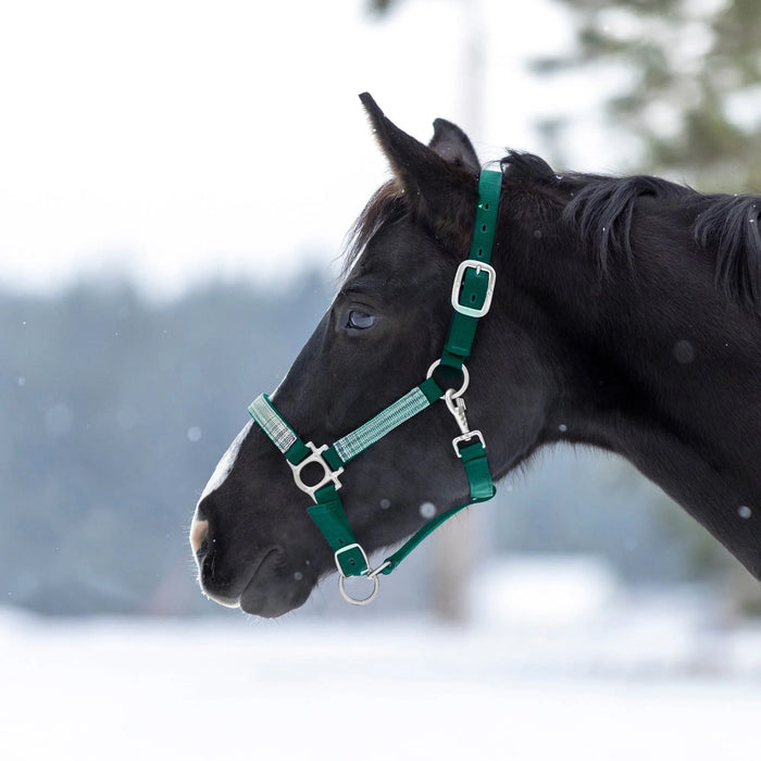 Reflective Nylon Halter with Textliene Kensington Protective Products