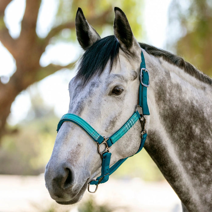 Reflective Nylon Halter with Textliene Kensington Protective Products
