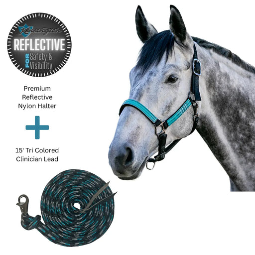 Halter, reflective, adjustable chin, Throat snap