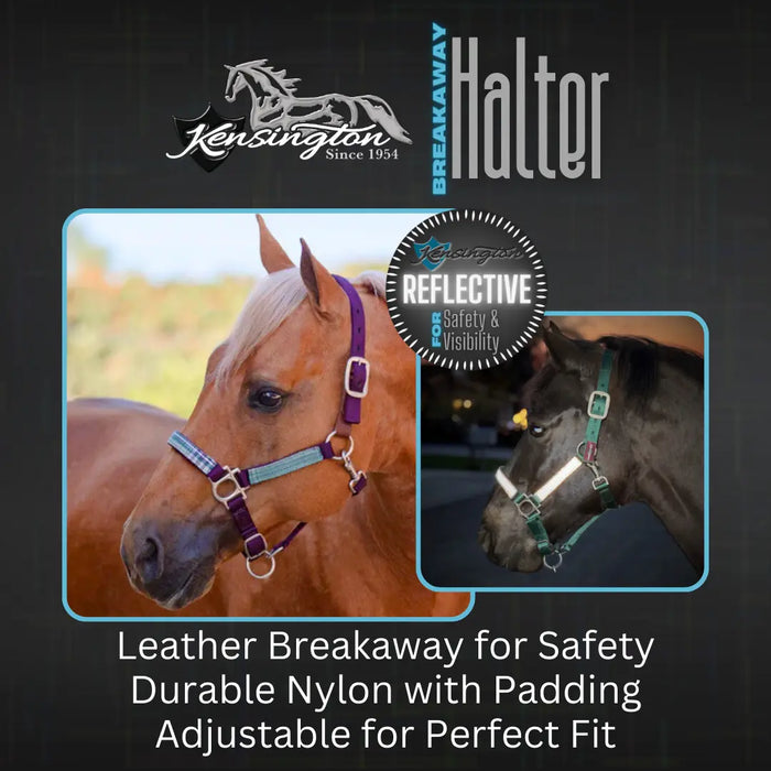 Reflective Breakaway Nylon Halter with Textliene Kensington Protective Products