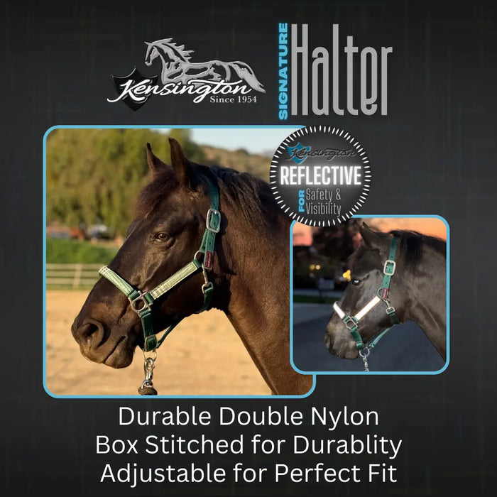 Reflective Nylon Halter with Textliene Kensington Protective Products