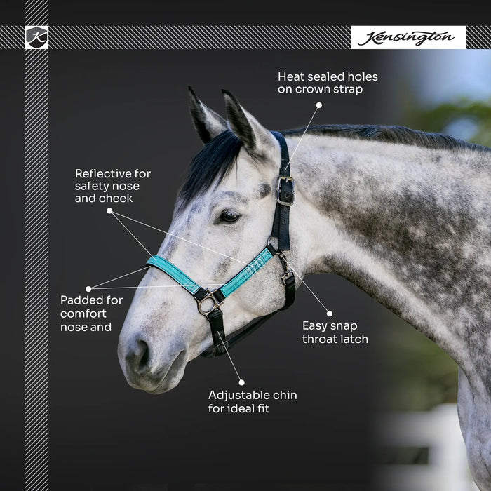 Reflective Nylon Halter with Textliene Kensington Protective Products