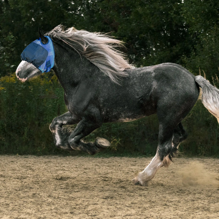 UViator Dartless Draft Horse Equine Fly Mask with 90% UV Protection Kensington Protective Products